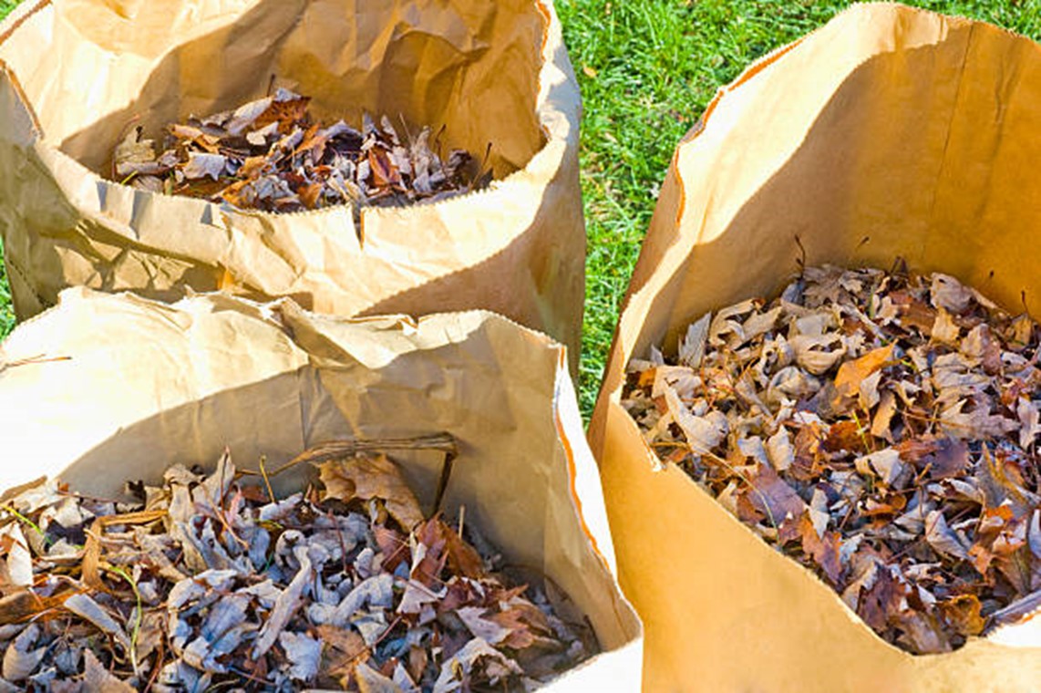 Curbside Leaf Pickup! Worcester Township