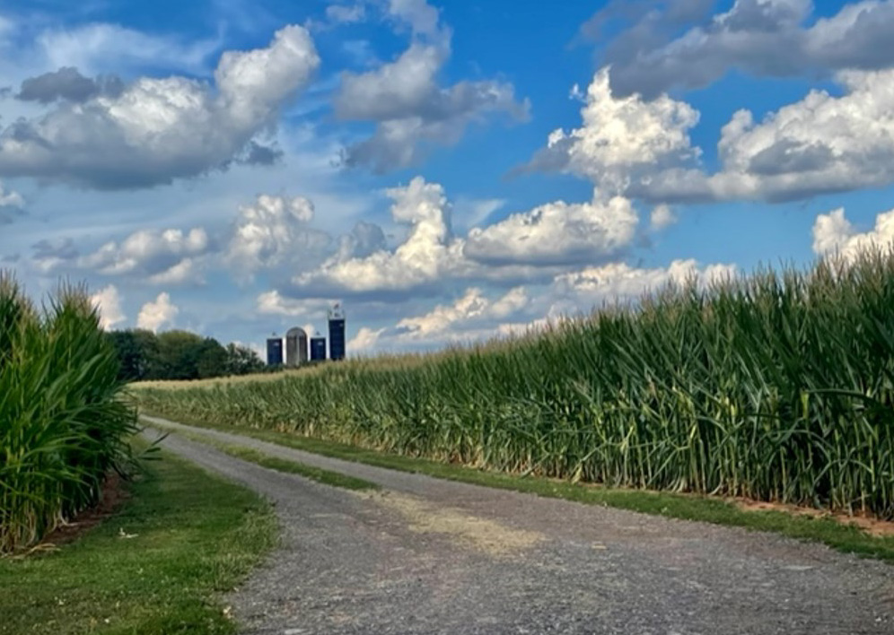 Open Space