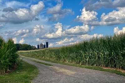Friends of Worcester: Preserve Open Space Workshop